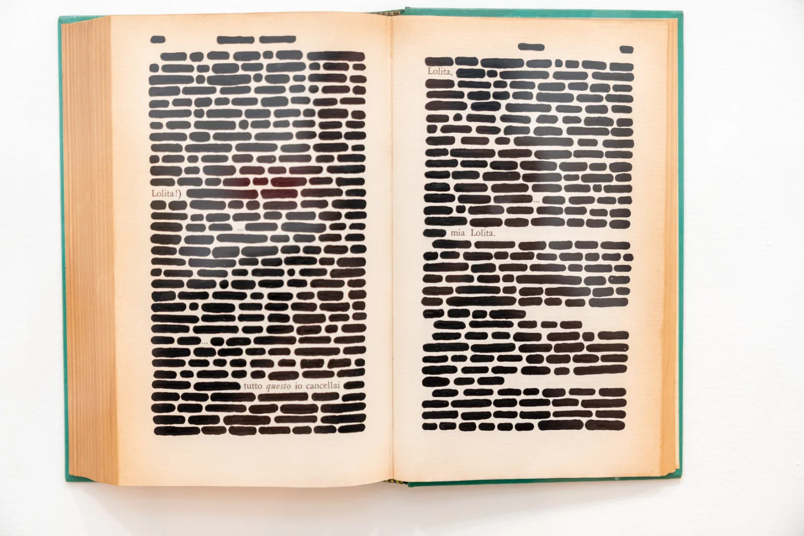 An open copy of Nabokov's novel in a case, both pages almost entirely covered in short black ink strokes, with only the words Lolita and a line declaring that everything has been erased left legible