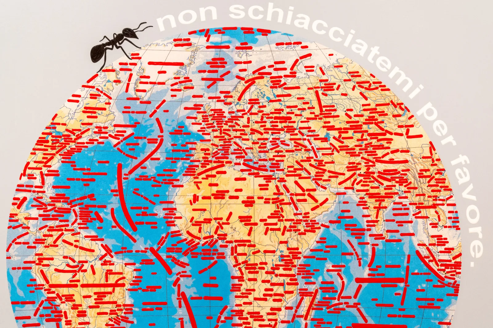 A physical world map shown as a globe on a pale blue ground, every continent and ocean covered in red strokes, with a single black ant resting on the upper rim and the words non schiacciatemi per favore curving around it