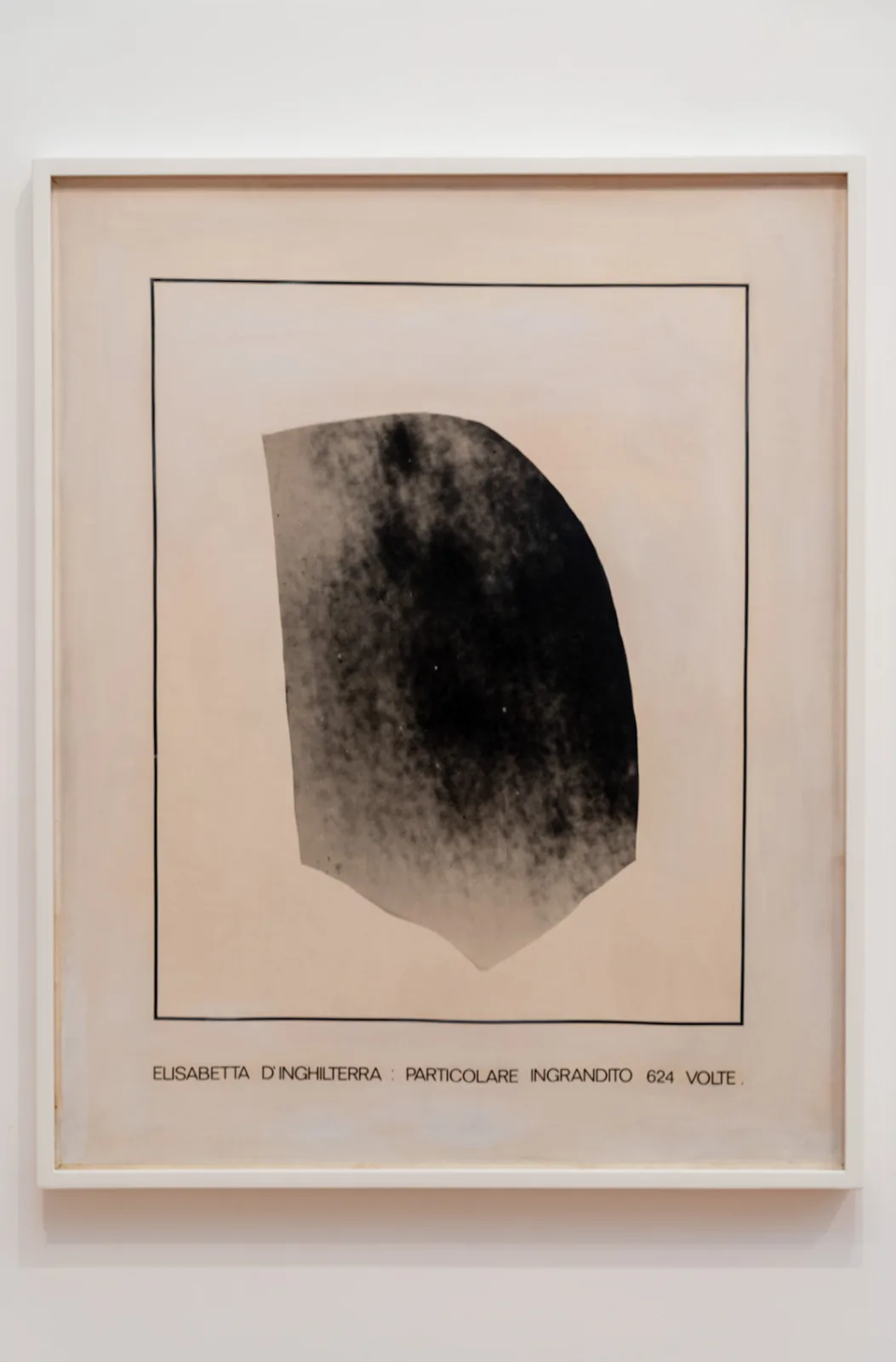 A framed canvas on a white wall showing a dark grainy shape inside a thin drawn border, all that remains of an enlarged photographic detail, with the line Elisabetta d'Inghilterra: particolare ingrandito 624 volte printed beneath it