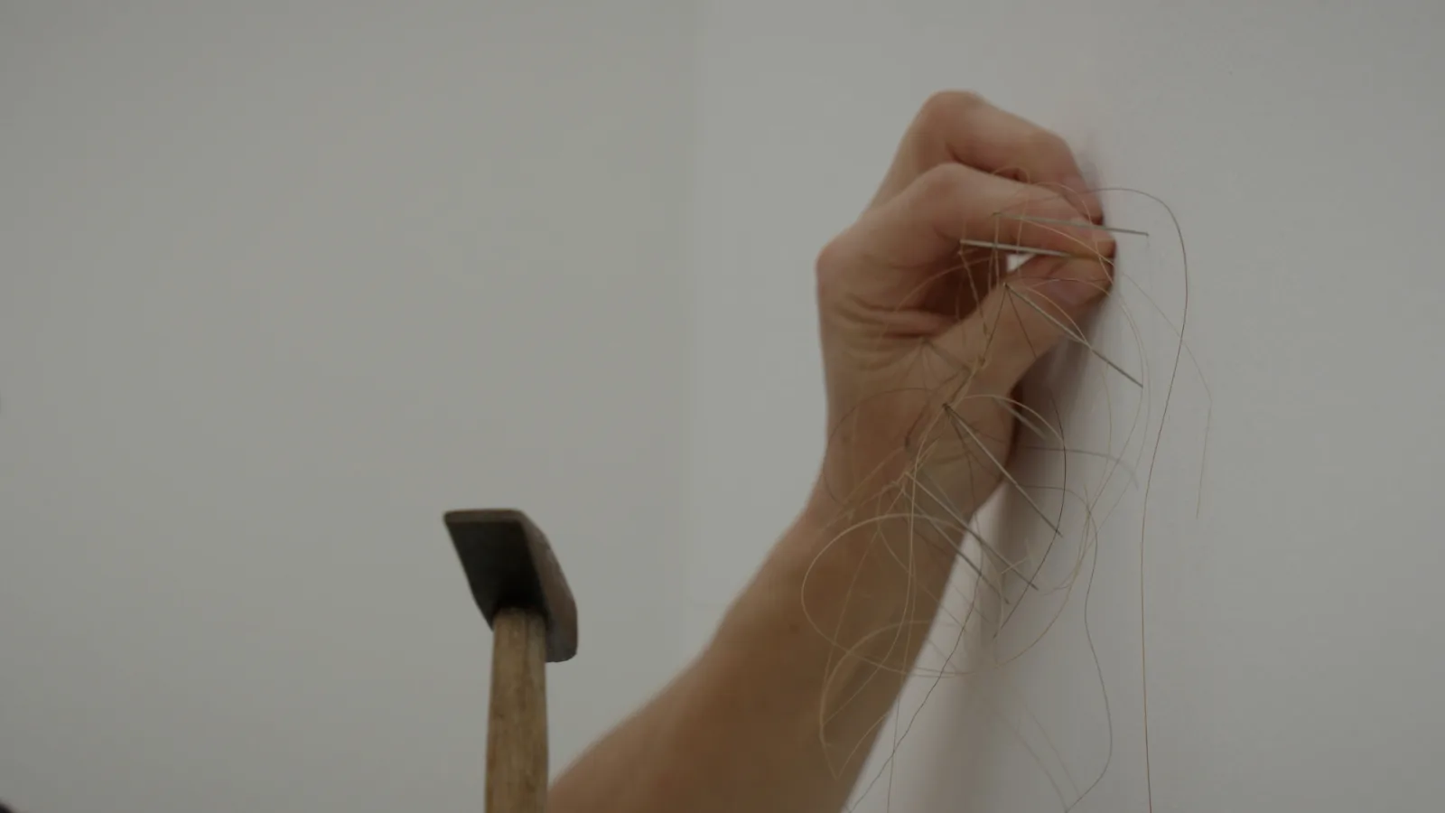A hand presses a cluster of needles and loose pale horsehair against a white wall while the other hand holds a small hammer below.
