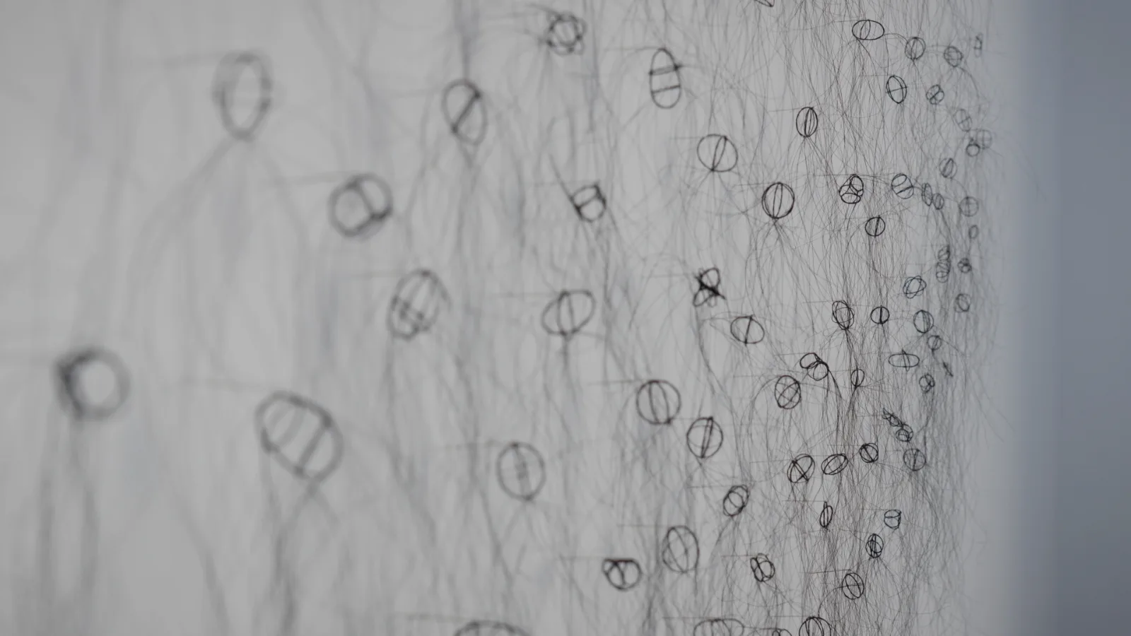 Close view of a white wall covered with small loops and rings of dark horsehair, fixed in rows, with fine strands falling between them; the left side is out of focus.