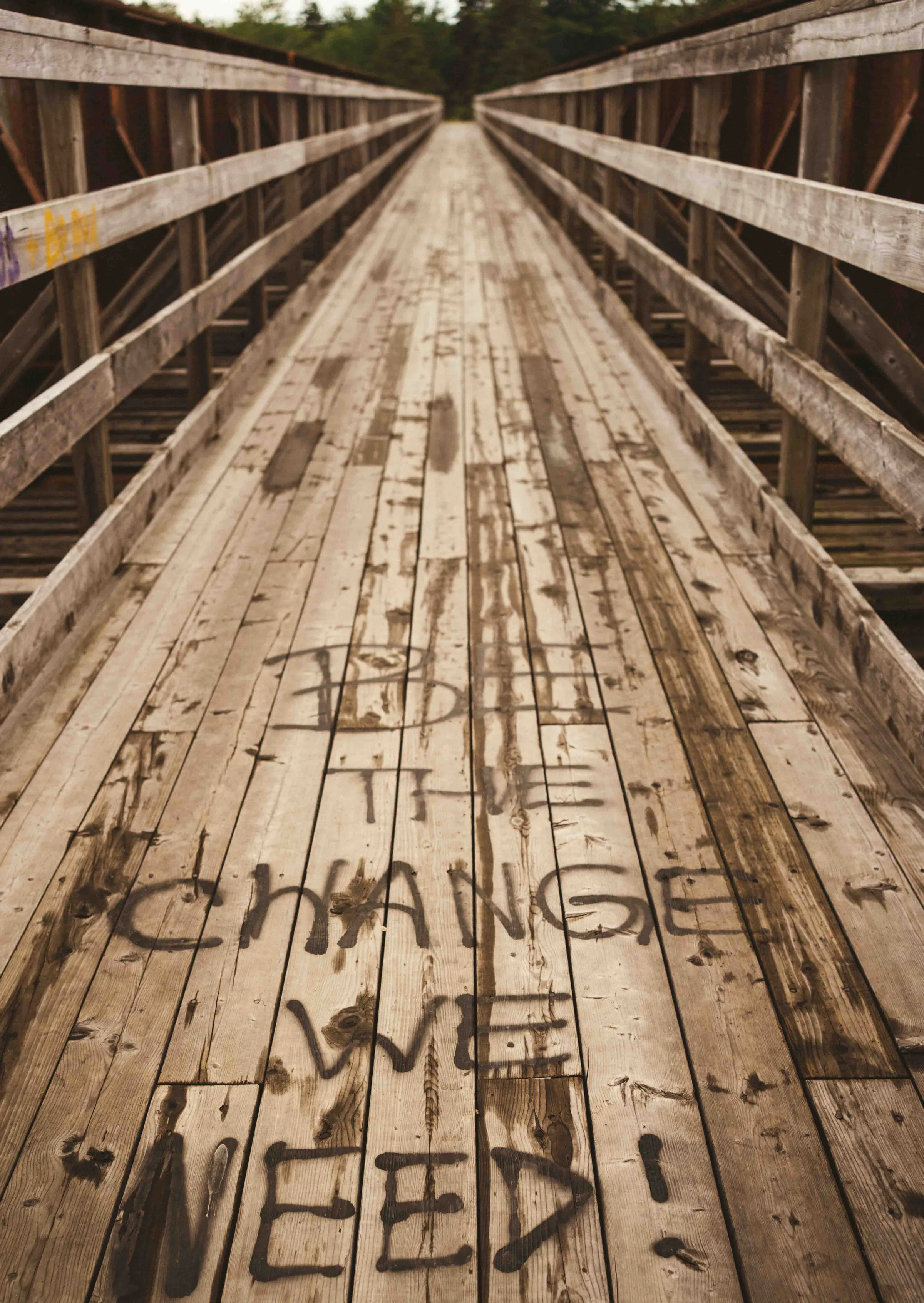 A wooden boardwalk with the spray-painted phrase 'Be the change we need' leading into a forest