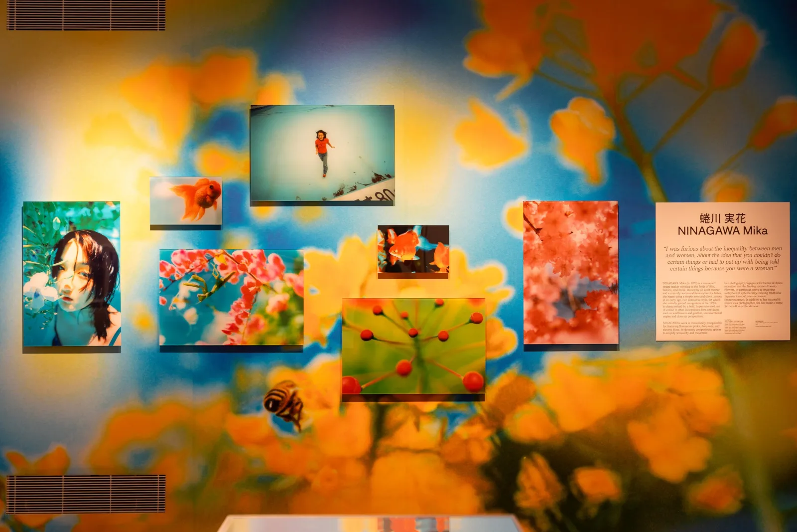 Wall of saturated colour photographs of flowers, cherry blossom and a goldfish, mounted on a large blurred floral vinyl beside a wall text