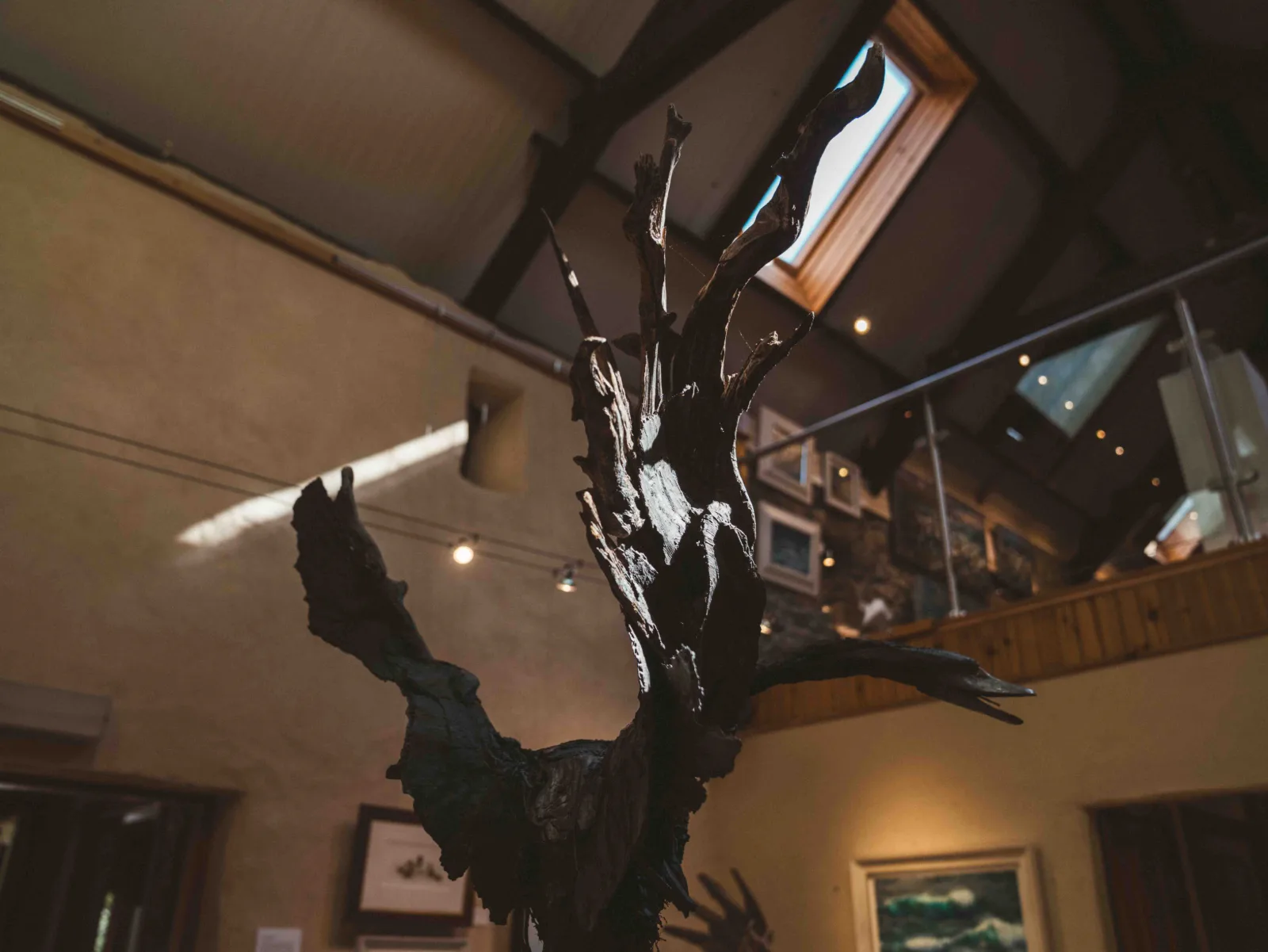 Resipole FIne Art Gallery_internal_bird