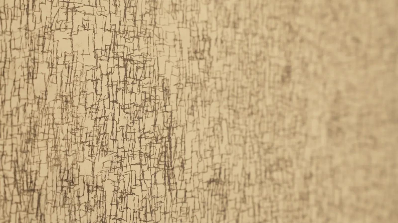 Lawrence Carroll - Works on paper